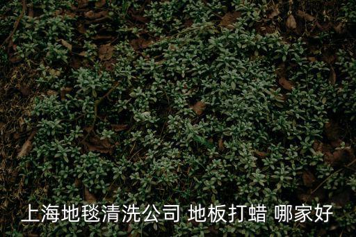上海清洗地毯公司，上海有沒有專業清洗地毯的公司呀急