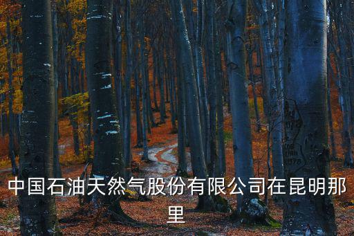 中國石油天然氣股份有限公司在昆明那里