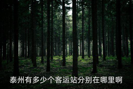 泰州有多少個客運站分別在哪里啊