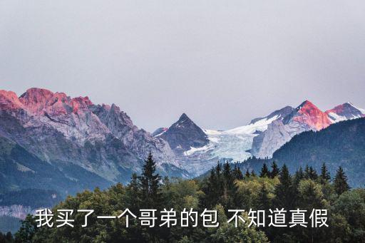 我買(mǎi)了一個(gè)哥弟的包 不知道真假