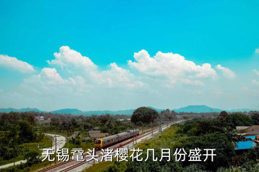 無錫黿頭渚櫻花幾月份盛開