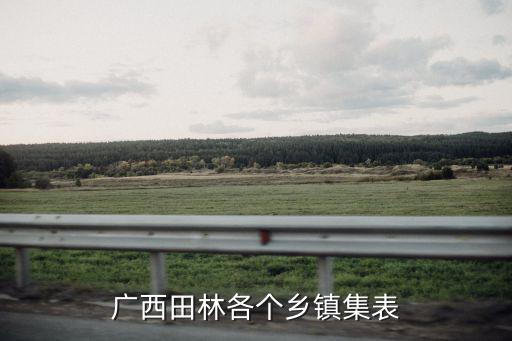 廣西田林各個鄉鎮集表