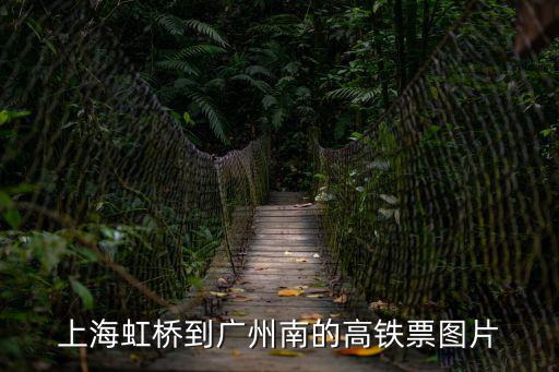高鐵票圖片，新火車票票樣