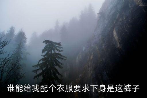 誰能給我配個衣服要求下身是這褲子