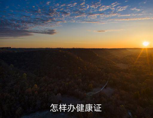 辦健康證，健康證怎么辦理