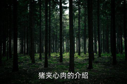 豬夾心肉的介紹