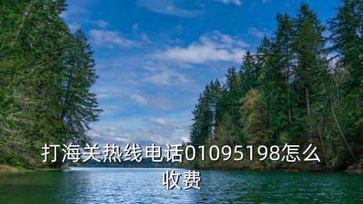 打海關熱線電話01095198怎么收費
