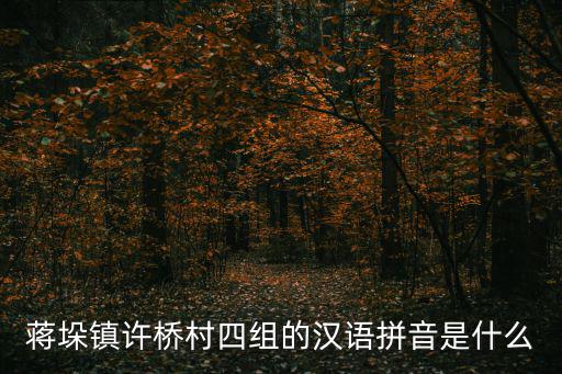蔣垛鎮許橋村四組的漢語拼音是什么