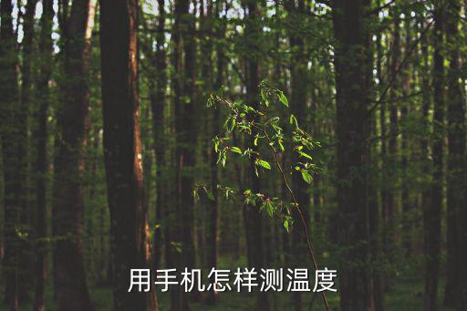 手機如何測體溫，手機需要什么功能才可以測溫度
