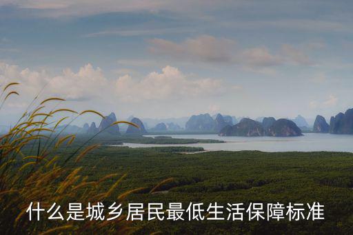 什么是城鄉居民最低生活保障標準