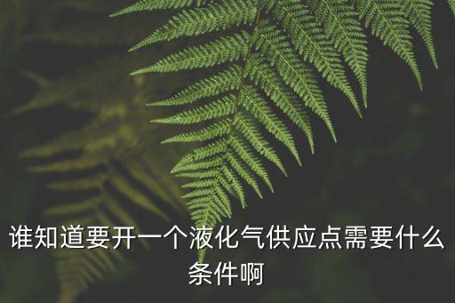 誰知道要開一個(gè)液化氣供應(yīng)點(diǎn)需要什么條件啊