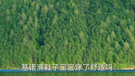 基諾浦鞋子寶寶穿了舒適嗎