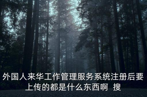 外國人來華工作管理服務(wù)系統(tǒng)注冊后要上傳的都是什么東西啊  搜