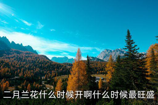 二月蘭花什么時候開啊什么時候最旺盛