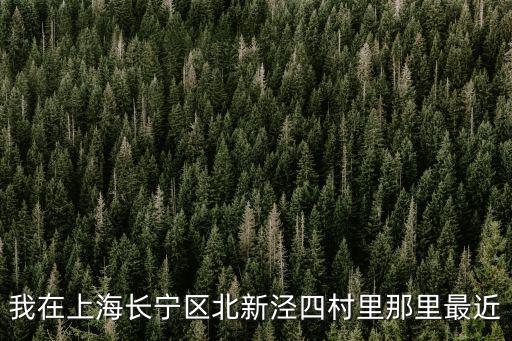 華涇四村，我在上海長寧區北新涇四村里那里最近