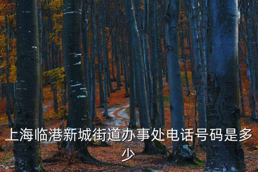新城社區電話，連云港新浦區新東派出所新城社區郵政編碼