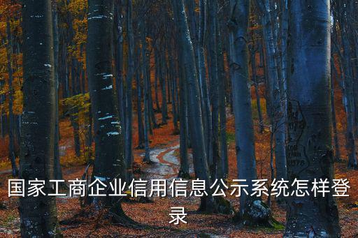 國家工商企業(yè)信用信息公示系統(tǒng)怎樣登錄