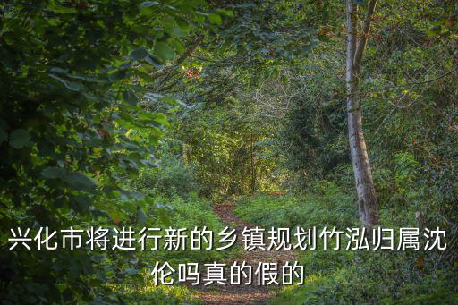 興化市將進行新的鄉鎮規劃竹泓歸屬沈倫嗎真的假的