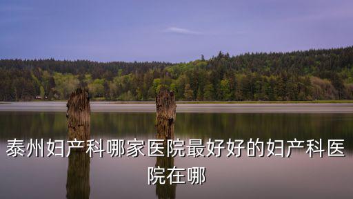 泰州婦產醫院，泰州哪個婦科醫院最好啊