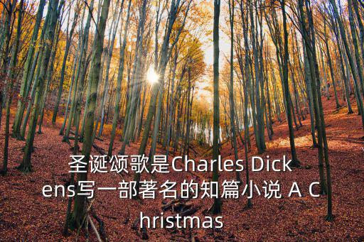 圣誕贊歌，哪一首圣誕頌歌