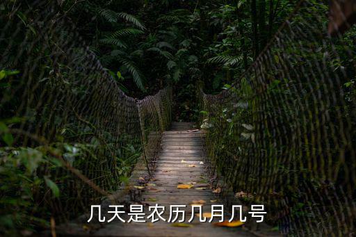 幾天是農歷幾月幾號