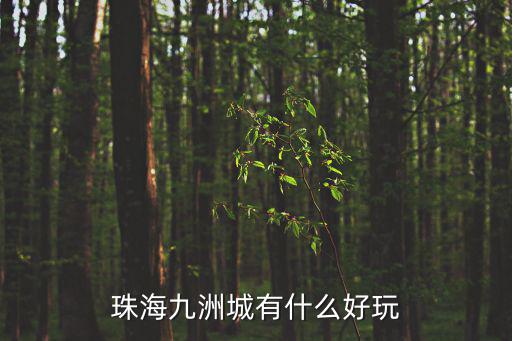 珠海九洲城有什么好玩