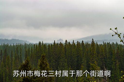蘇州市梅花三村屬于那個街道啊