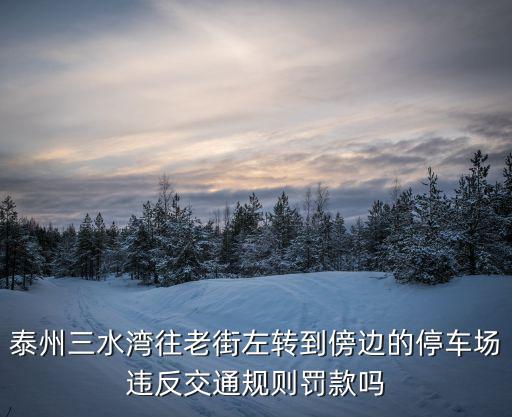 泰州三水灣往老街左轉到傍邊的停車場違反交通規則罰款嗎
