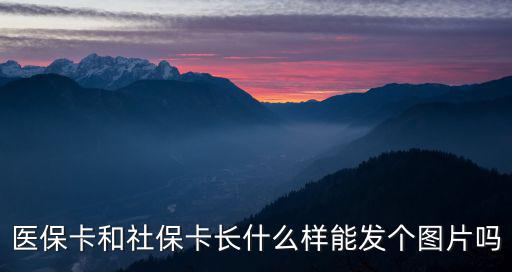 醫(yī)保卡和社保卡長什么樣能發(fā)個圖片嗎