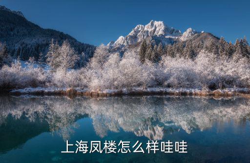 上海鳳樓怎么樣哇哇