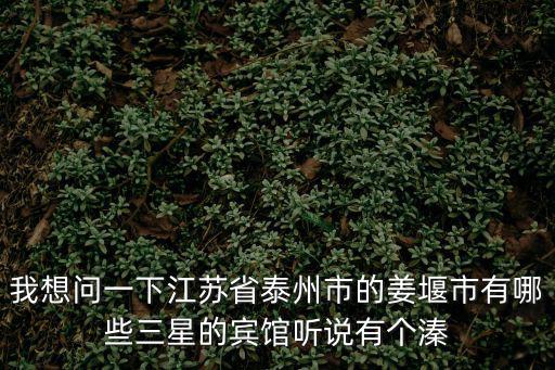 我想問一下江蘇省泰州市的姜堰市有哪些三星的賓館聽說有個溱