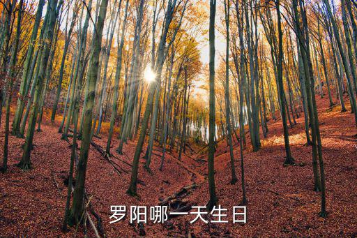 羅陽哪一天生日