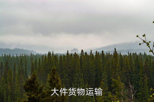 大件貨物運(yùn)輸