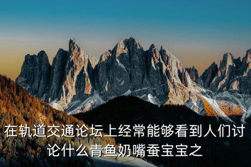 在軌道交通論壇上經(jīng)常能夠看到人們討論什么青魚奶嘴蠶寶寶之