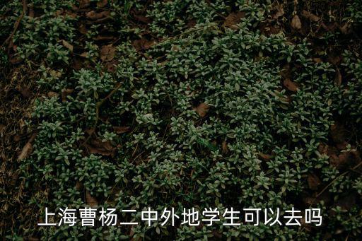 上海曹楊二中，上海曹楊二中外地學生可以去嗎