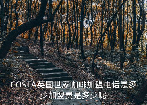 costacoffee加盟，請問costa咖啡在國內是不允許加盟是嗎