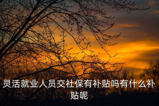 靈活就業人員交社保有補貼嗎有什么補貼呢