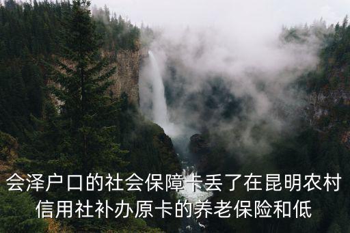 社保卡補辦，會澤戶口的社會保障卡丟了在昆明農村信用社補辦原卡的養老保險和低