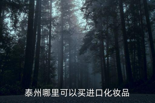 泰州哪里可以買進(jìn)口化妝品