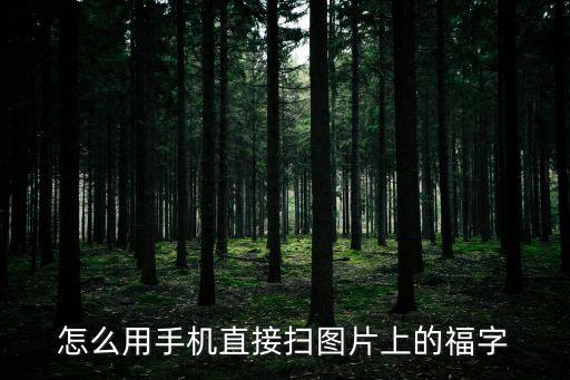 怎么用手機直接掃圖片上的福字
