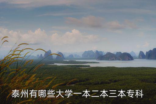 泰州有哪些大學(xué)一本二本三本專科