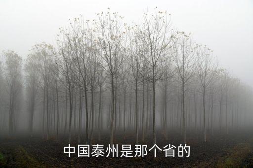 中國泰州，中國泰州是那個省的