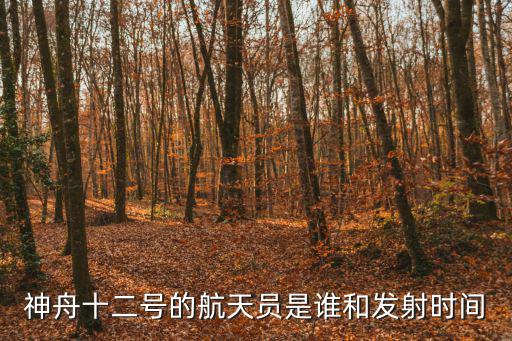 神舟十二號的航天員是誰和發射時間