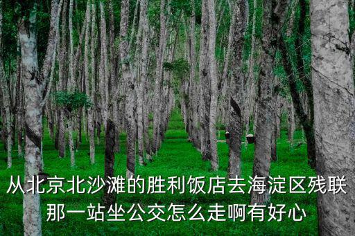 從北京北沙灘的勝利飯店去海淀區(qū)殘聯(lián)那一站坐公交怎么走啊有好心