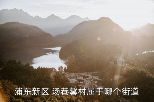 湯巷馨村，秀沿路上的湯港新村是多少號