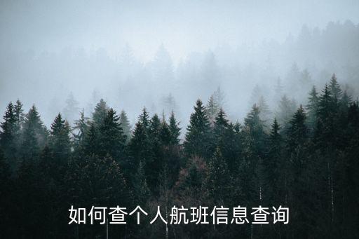 如何查個人航班信息查詢