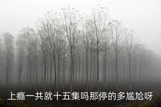 上癮一共就十五集嗎那停的多尷尬呀
