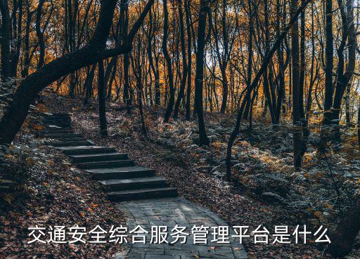 交通安全綜合服務管理平臺是什么