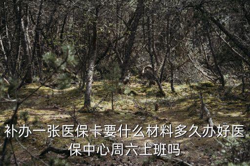 補(bǔ)辦一張醫(yī)保卡要什么材料多久辦好醫(yī)保中心周六上班嗎