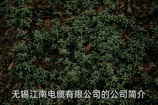無錫江南電纜有限公司的公司簡介